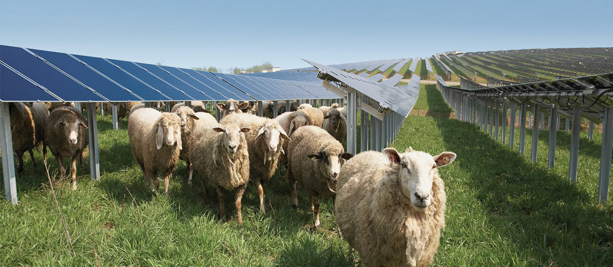 Kajima renewable energy