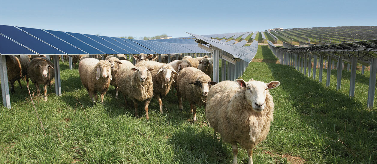 Renewables intro